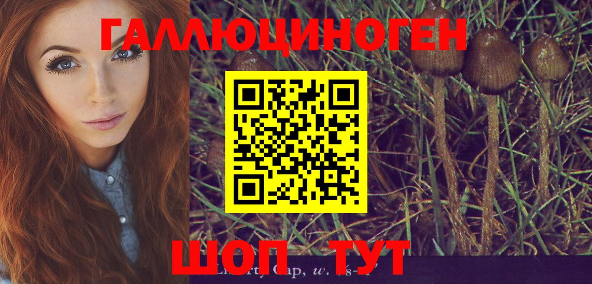 Псилоцибиновые грибы MAGIC MUSHROOMS  Вход с VPN  где купить   Рязань 